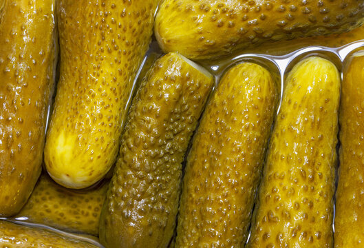 Detailed closeup of whole pickled cucumbers packed tightly in brine, showing glossy bumpy skins, preserved texture, and vibrant yellow green tones