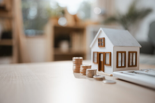 Porcelain model frames real estate mortgage savings asset budget choices, then frames real estate mortgage savings asset budget choices in a dim warm soft calm quiet bright sunlit gentle serene room.