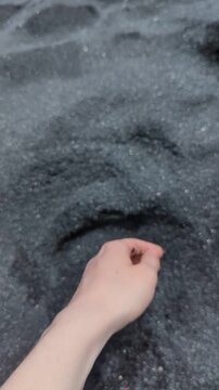 Close-up of a Caucasian hand pouring wet sparkling black volcanic sand through fingers on a famous Hawaii beach. Grains of sand glitter in the sun, wet sand sticking to the skin.