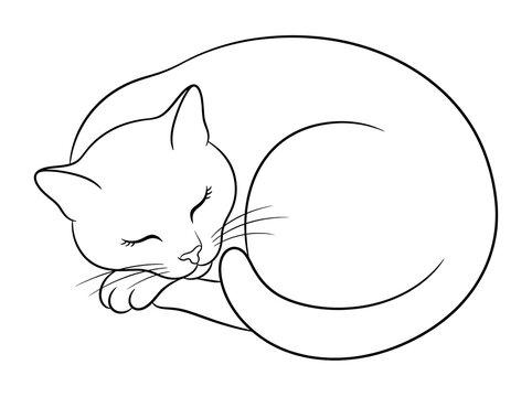 Cute sleeping cat line art vector illustration, contour drawing of a resting kitty, minimalist pet outline design.