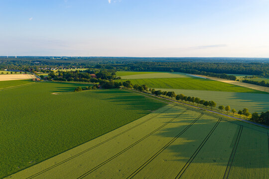 Aerial top view on green crop field. Nature environment. Green harvest in field. Summer green field. Agricultural aerial landscape. Green crop agricultural farm landscape. Harvesting and cultivation