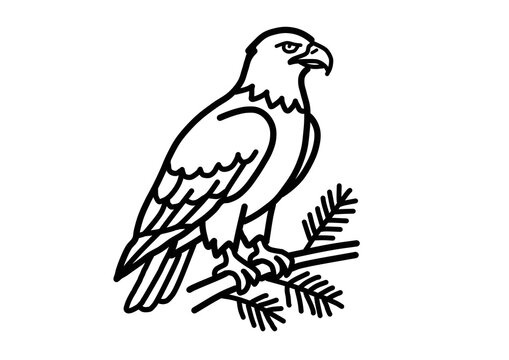 Bald Eagle Perched on Tree Branch Line Art Vector Illustration Isolated on White Background
