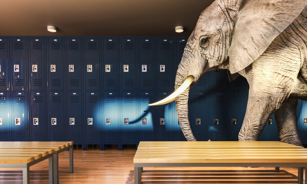 Elephant walking through locker room
