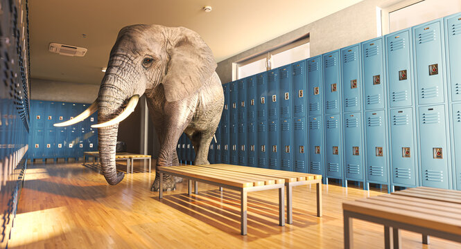 Elephant in a locker room 3d hidden problem