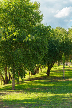 Peaceful urban park with green trees and fresh grass lawn in sunlight. Natural recreation area for walking, relaxing and outdoor rest and leisure in the city. Nature landscape, city garden