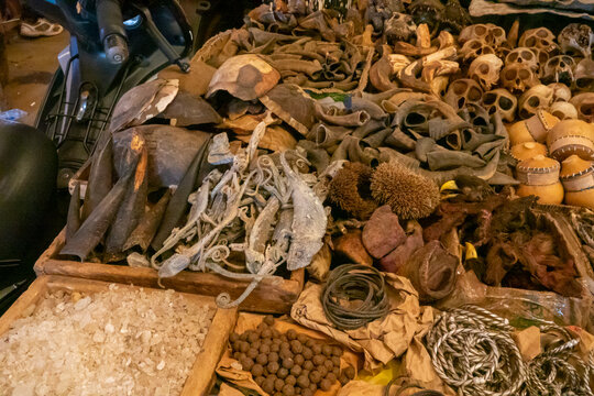 Tortoise shells dried reptiles and salt are displayed at a fetish market stall, Poro region, Korhogo, Ivory Coast