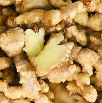Ginger root and ginger slice. Fresh ginger root and ground ginger spice.
