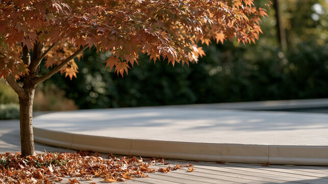 Mature maple tree shedding first autumn leaves onto decking surface beside pool, automated pool cover half deployed, seasonal maintenance transition mood, no people, garden care