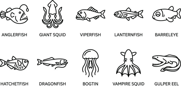 Deep sea ocean creatures line icons featuring anglerfish giant squid viperfish lanternfish barreleye hatchetfish dragonfish vampire squid gulper eel