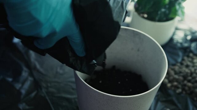 Pouring soil into flower pot from bag indoors