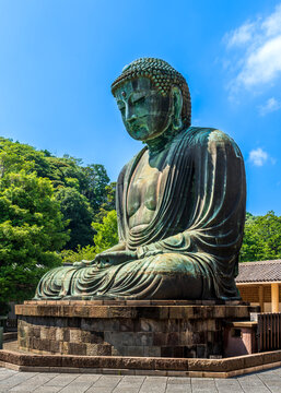 Artistic bronze Great Buddha Daibutsu statue at Kotoku-in temple in Kamakura Japan