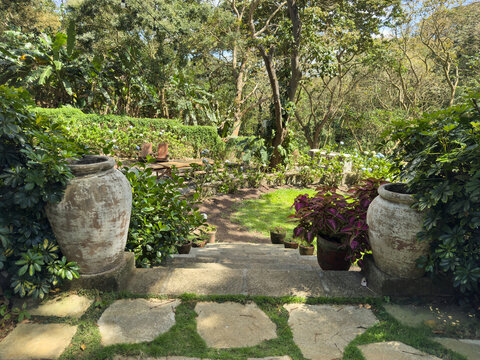 Stone staircase to green patio with wooden deck