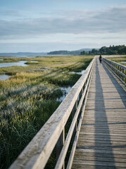 Fototapeta premium Person walking along a wooden boardwalk through a marsh filled with tall grasses