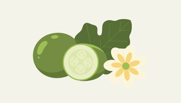 Monk fruit or luo han guo illustration with whole and half green fruits leaf and small yellow flower.