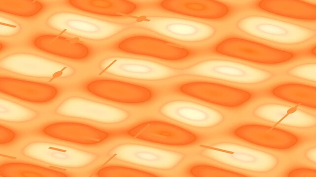 Microscopic view of stained plant cells arranged in tissue