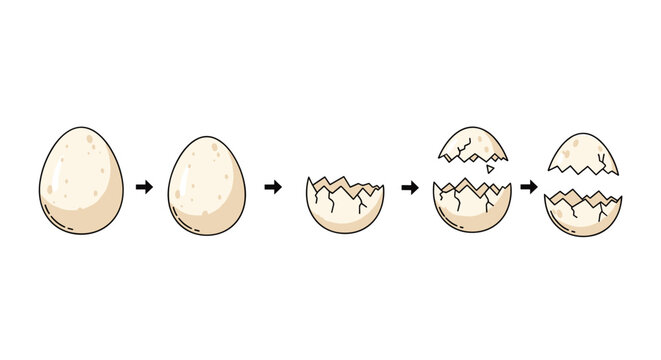 Dinosaur egg hatching sequence showing five process stages from whole egg shell to cracked egg halves on white background.