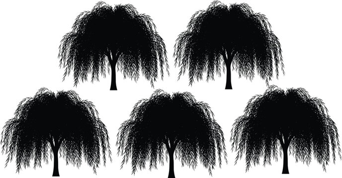 Black weeping willow trees silhouette vector illustration set on white