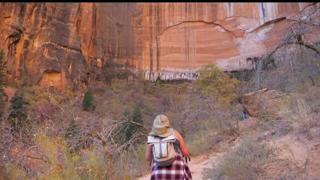 Woman with backpack and hiking poles walking up on trail in zion national park, utah. Camera tilting up to reveal massive weeping rock sandstone canyon wall. Hiker hiking on footpath in red rocks