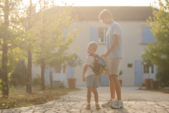 two boys standing on a cobblestone path in a calm, serene residential area with trees and buildings in the background. side view of childhood memories captured.