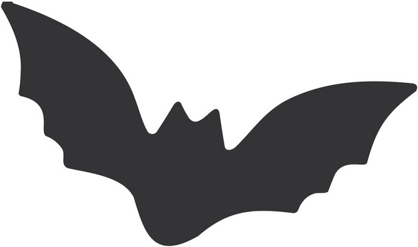 halloween, spooky, scary, cat, black cat, bat, spider, spiderweb, web, spider web, animal, creepy, eerie, night, flying bat, cute cat, pet, vector, silhouette, outline, mystery, monster, october, octo
