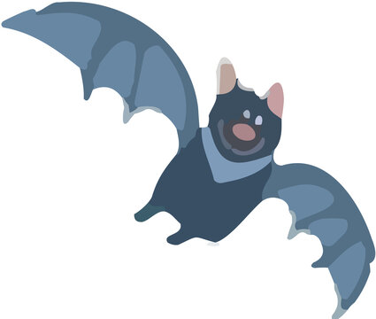 halloween, spooky, scary, cat, black cat, bat, spider, spiderweb, web, spider web, animal, creepy, eerie, night, flying bat, cute cat, pet, vector, silhouette, outline, mystery, monster, october, octo
