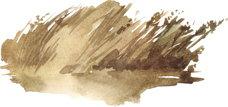 Watercolor abstract brown dry grass brush stroke texture
