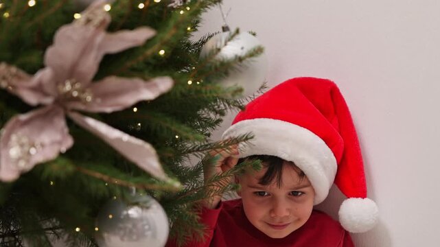 Close-up shots of two boys and their grandmother decorating a Christmas tree indoors. The brothers wear festive hats and pet a black cat near winter ornaments and a toy snowman.