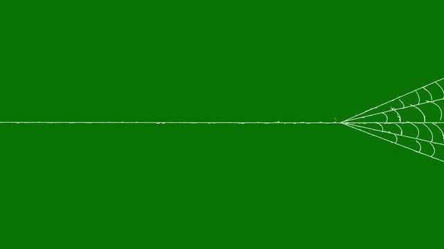 Spider web rapidly stretching and contracting its elastic threads, isolated on green screen, dynamic elastic silk threads with fast stretching motion, high detail cobweb element for action.4k