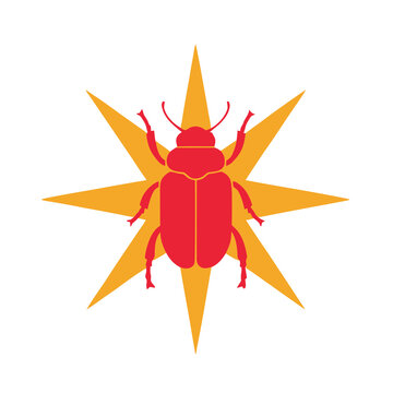 Red beetle on yellow starburst