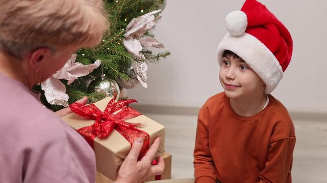 Close-up shots of two boys and their grandmother decorating a Christmas tree indoors. The brothers wear festive hats and pet a black cat near winter ornaments and a toy snowman.