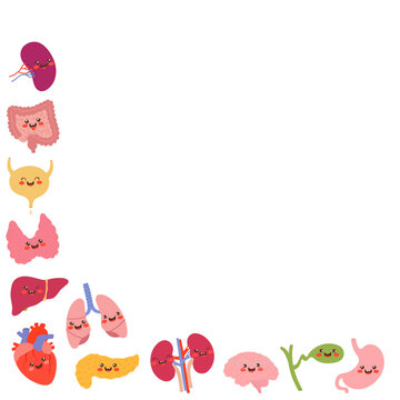 Cute Human Internal Organs Cartoon Corner Border Frame Illustration