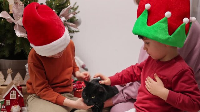 Close-up shots of two boys and their grandmother decorating a Christmas tree indoors. The brothers wear festive hats and pet a black cat near winter ornaments and a toy snowman.
