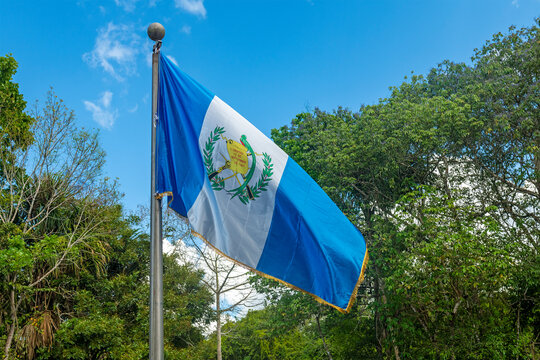Guatemalan flag in Tikal, Guatemala.