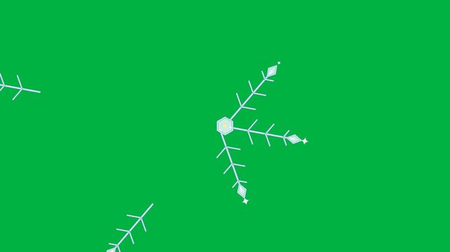 Geometric Vector Animation Winter Ice Snowflake Formation with Isolated Green Screen, Seasonal Holiday Promo.