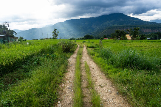 Paisajes del interior del norte de Tailandia, donde se puede ver su naturaleza, su ecosistema, el estilo de vida, templos budistas y fauna. 