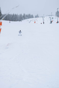 People ski across a snowy mountain slope at a winter resort surrounded by forest. The scene represents winter tourism, skiing, outdoor recreation, and mountain travel.