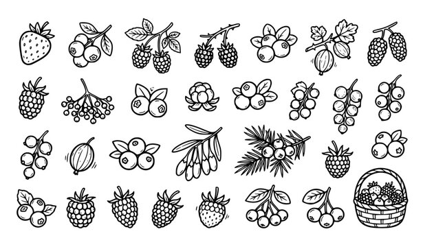 Berry Doodle Icon Set &ndash; Hand Drawn Editable Vector Collection