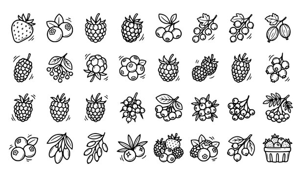 Hand Drawn Berry Doodle Icons &ndash; Organic Fruit Outline Vector Set