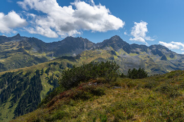 Fototapeta premium alpine mountains in silver valley with steep slopes, by the way a beautiful panorama with Ant Peak, Western Iron Valley Peak, Silver Valley Lob Peak, hiking in high mountains through alpine flowers an