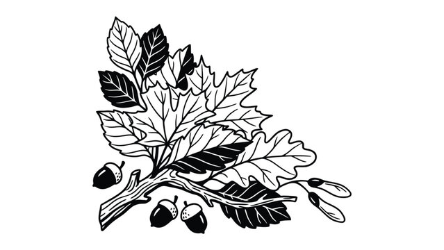 Autumn Leaves and Acorns: A detailed illustration of a collection of autumn leaves, including oak and maple, alongside acorns and samaras, arranged as a decorative element.