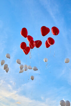 Red heart-shaped and white balloons flying in the blue sky with light clouds. Low angle view of romantic balloon release during a wedding celebration or outdoor festival. Freedom concept.