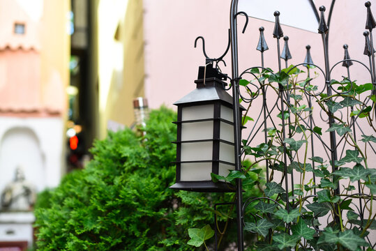 A vintage street lamp on a metal fence in a cozy garden.