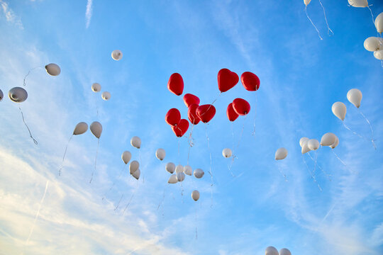 Red heart-shaped and white balloons flying in the blue sky with light clouds. Low angle view of romantic balloon release during a wedding celebration or outdoor festival. Freedom concept.