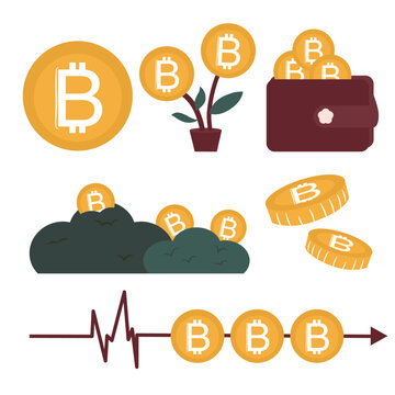 bitcoin cryptocurrency finance set with wallet plant and chart