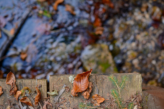 Particolare di pontile su ruscello