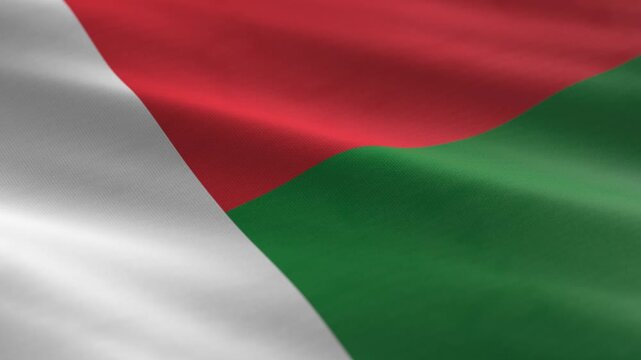 Madagascar - waving flag loop