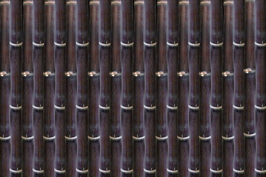 Dark Bamboo Stalks Repeating Vertical Pattern Natural Texture Background