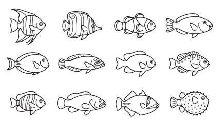 Obraz premium Reef fish