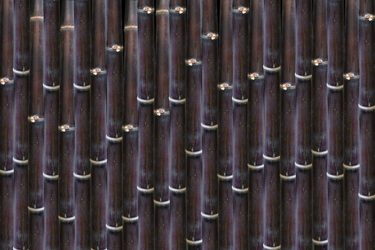 Dark Bamboo Stalks Repeating Vertical Pattern Natural Texture Background