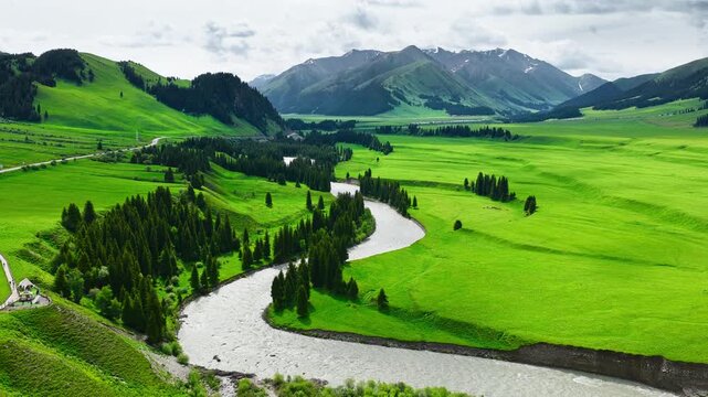 A winding river cuts through a vast green grassland valley framed by pine forests and distant rugged mountain ranges under bright daytime sunlight.